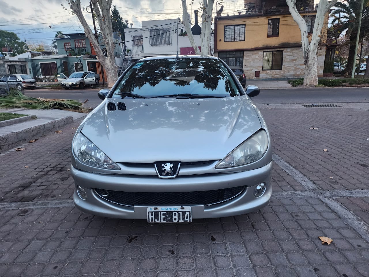 PEUGEOT 206 xs premiun 2008 foto 6